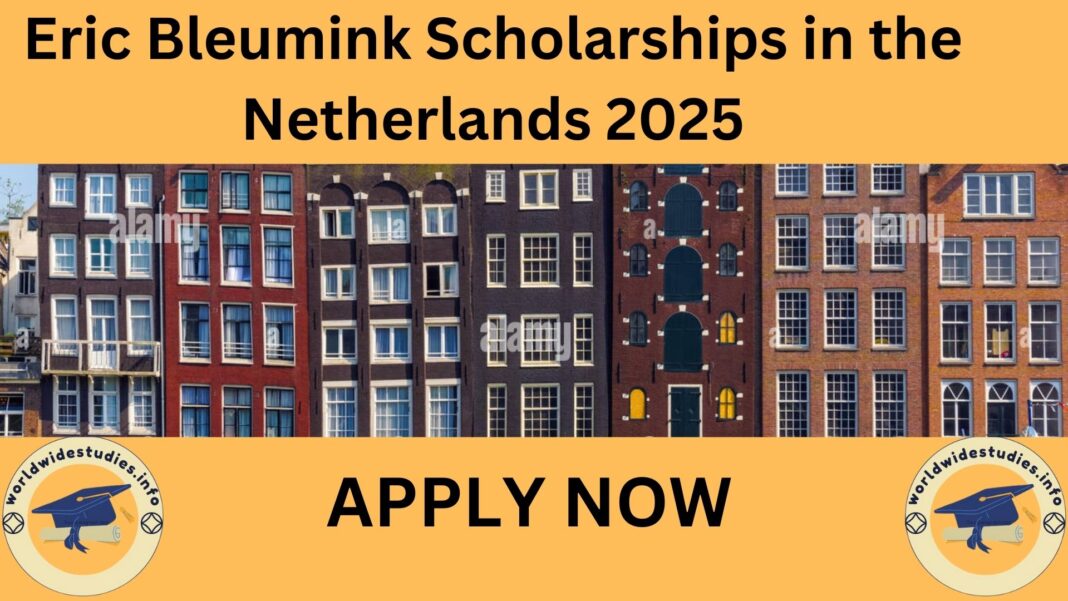 Eric Bleumink Scholarships in the Netherlands 2025