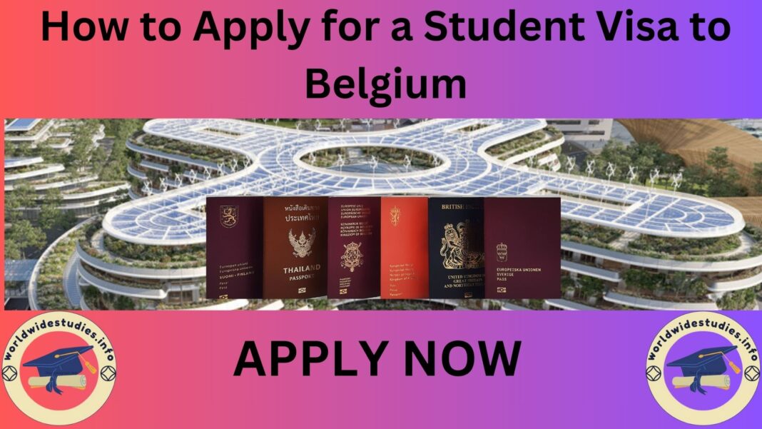 How to Apply for a Student Visa to Belgium